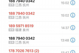 宜城融资清欠服务